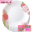 iwaki(イワキ) 耐熱ガラス 食器 耐熱皿 ファミエット ローズ柄 小皿 19cm ×5点セット 電子レンジ対応 B11369-RS
