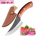 Utaki ボーニングナイフ 骨スキ包丁 肉切り包丁 筋切り包丁 ハンドメイド 鍛造 キッチンナイフ 鋭い切れ味 ケース付き