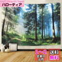 Pknoclan 森の光 タペストリー 木 自然風景 大判 壁掛け 風景画タペストリー 新緑の並木 多機能壁掛け モダンなアート 布ポスター 模様替え 部屋 窓...