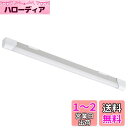 オーム電機 LEDエコスリムチューブライト 電設工事タイプ 10W 昼光色 LT-NLET10D-HK 06-4042 OHM