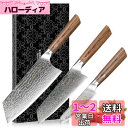 Nanfang Brothers 包丁セット VG10鋼 67層 ダマスカ 三徳包丁 牛刀 果物ナイフ 3本シェフナイフ フルーツナイフ 多機能 肉切り 調理 家庭用 業務用 プロ用 ギフトに最適