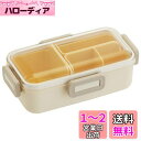 スケーター(Skater) 松花堂 ふんわり盛れる ドーム型フタ 弁当箱 530ml パウダーパステル ベーシック 日本製 PFLB6S-A