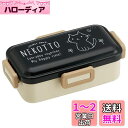 スケーター(Skater) Ag+ 抗菌 ふんわり盛れる 弁当箱 530ml ねこっと 日本製 PFLB6AG-A