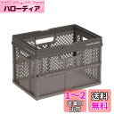 天馬(Tenma) 折りたたんでコンパクトになる持ち手付きの収納ボックス 完成品 折りたたみバスケット Mサイズ お部屋に馴染むデザインの折り畳みコンテナ オリコン カゴ A4ファイルがぴったりのバスケット プラスチック 【組立不要】 【色 グレー】 【サイズ M】 【幅39×