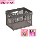 天馬(Tenma) 折りたたんでコンパクトになる持ち手付きの収納ボックス 完成品 折りたたみバスケット Sサイズ お部屋に馴染むデザインの折り畳みコンテナ オリコン カゴ B5ファイルがぴったりのバスケット プラスチック 【組立不要】 【色 ベージュ】 【サイズ S】 【幅31