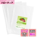 Gokilife 真空パック袋 20×25cm×100枚入り 真空パック機専用袋 真空パック ロール 真空ビニール エンボス加工 真空包装袋 専用抗菌袋 脱気密封 鮮度長持ち 食品保存 低温調理PA+PE安全素材 家庭用 業務用