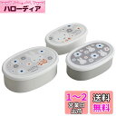 スケーター(Skater) 抗菌 お弁当 保存容器 3個セット ミッフィー モノトーン 日本製 SRS3SAG-A