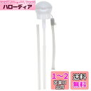 スケーター(Skater) ペットボトル ストローキャップ 350ml 500ml 携帯ケース付 グレー X ホワイト PSHC5S-A
