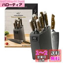 Nanfang Brothers 6本包丁セット 包丁ブロックセット ダマスカス鋼 VG10製 全67層 【三徳包丁 牛刀包丁 柳刃包丁 パン切り 万能包丁 ペティナイフ キチンバサミ 研ぎ棒】包丁最高峰のG10ハンドル 切れ味良い 野菜切り 肉切り 魚切り 多機能 家庭用 業務用 プロ用 食洗機