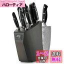 Nanfang Brothers 包丁セット 9点セット ダマスカス包丁セット V金10号 67層ダマスカス【三徳包丁 牛刀包丁 柳刃包丁 パン切り 万能包丁 ペティナイフ キッチンハサミ 研ぎ棒 包丁スタンド付き】 人間工学 食洗機対応 肉切り 野菜切り 果物切り 家庭用 業務用 初心者 プ