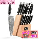 Nanfang Brothers 15点包丁セット 67層 ダマスカスV金10号 三徳包丁 牛刀包丁 シェフナイフ ?ぱんきり 柳刃包丁 実用包丁 ペティナイフ キッチンハサミ 切れ味良い 錆びにくい フルーツナイフ 包研ぎ棒と包丁立て付き 多機能 調理器具 野菜・肉・果物切り 調理/家庭/業