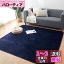 Keusnix カーペット ラグ ラグマット滑り止め付 洗える 200×300cm 約4.5畳 絨毯 防ダニ 抗菌 防臭 オールシーズン快適に使用 床暖房 ホッ...