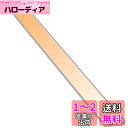 人感センサーライト 室内 LED バー ライト 充電式 キャビネットライト 2200mAh 40cm 電球色 超薄型設計 手元灯 マグネット LEDライト 足元灯 配線工事不要 省エネ 長寿命 高感度 高輝度 部屋 玄関 廊下 階段 キッチン 棚