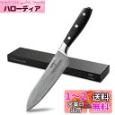 Nanfang Brothers 包丁 三徳包丁 ダマスカス包丁 刃渡り160mm 万能包丁 V金10号 両刃包丁 人間工学 食洗機対応 肉切り 野菜切り 果物...