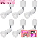 DiCUNO ダクトレール用スポットライト E11口金 LED電球付き 5W 40W相当 昼白色 ライティングバー用スポットライト高演色性 LEDスポットライト...