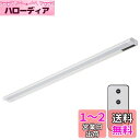 オーム(OHM) 電機 LEDイーブライトスリム多目的灯 コンセント式 リモコンタイプ 昼光色 14W 857mm バーライト スリムライト ニッチライト キッチンライト 棚下灯 LT-NLES14D-HR 06-4039(3)