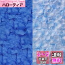 Exgox 花びら 3000枚セット フラワーシャワー 薔薇 造花 プロポーズ 飾り 結婚式 ウエディング 2次会 誕生日 お祝い クリスマス パーティー用飾り(ブルー系ミックスx1500枚計3000 枚)