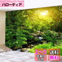 Pknoclan タペストリー 森 渓流 木 大判 壁掛け 自然 210x150cm布ポスター 新緑の並木 部屋や窓の飾り インテリア リビングルーム ベッドル...