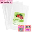 Gokilife 真空パック袋 10×20cm×100枚入り 真空パック機専用袋 しんくうぱっく袋 真空パック ロール 真空ビニール エンボス加工 真空包装袋 専用抗菌袋 脱気密封 鮮度長持ち 食品保存 低温調理PA+PE安全素材 家庭用 業務用