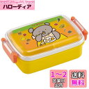 スケーター (skater) 子供用 弁当箱 450ml 抗菌 こぐまちゃん 女の子 日本製 RBF3ANAG-A