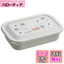 スケーター (skater) ふわっとフタ付 軽量 フード ランチケース M 830ml ミッフィー 日本製 LFP8-A