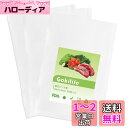 Gokilife 真空パック袋 28×40cm×100枚入り - 真空パック機専用袋 真空パックロール 真空ビニール エンボス加工 真空包装袋 専用抗菌袋 脱気密封 鮮度長持ち 食品保存 低温調理用袋 PA+PE安全素材 家庭用 業務用
