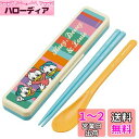スケーター(Skater) コンビセット 箸 スプーン セット ディズニー レトロ ヒューイ 18cm 抗菌 大人用 日本製 CCS3SAAG-A