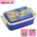 スケーター(Skater) 弁当箱 450ml スプラトゥーン 3 抗菌 子供用 日本製 RBF3ANAG-A