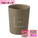 ベストコ タンブラー コンビニカップ コーヒー 対応 300ml 保冷 保温 真空二重構造 シアーブラウン NM-182