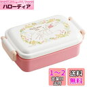 スケーター(Skater) 弁当箱 450ml となりのトトロ メイといっしょ 抗菌 子供用 日本製 RBF3ANAG-A