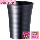 ベストコ あったか&ひんやり 焼酎 タンブラー セラミック 300ml 真空二重構造 保冷 保温 ティントブラック NM-152