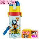 スケーター(skater) 子供用 ステンレス 水筒 2way 直飲み 420ml コップ飲み 350ml パウパトロール 23 子供に優しい軽量タイプ 男の子 保温・保冷小容量タイプ waterbottle スポーツボトル かわいい キッズ 子供 こども 水瓶 SKDC3-A(3)