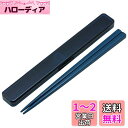 スケーター(Skater) 箸 21cm 箸箱 セット 抗菌 ミッドナイトブルー 大人用 男性向け ABC45AG-A