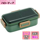 スケーター(Skater) 弁当箱 セージグリーン 530ml 抗菌 ふんわり盛れる ドーム型フタ 女性用 日本製 PFLB6AG-A