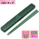 スケーター(Skater) 箸 箸箱 セット セージグリーン 18cm 抗菌 大人用 日本製 ABC3AG-A