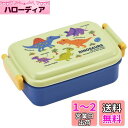 スケーター(Skater) 弁当箱 450ml ディノサウルス ピクチャー 抗菌 子供用 日本製 RBF3ANAG-A