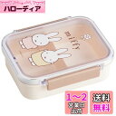 スケーター(Skater) 保存容器 ミッフィー 430ml おかず容器 食洗機対応 日本製 PM3CA-A