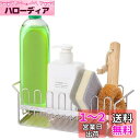 Sitengle スポンジ置き キッチン 18/8ステンレス製 水が流れるスポンジホルダー スポンジ洗剤置き スポンジラック 置き型 スポンジ・たわし入れ 防錆 シンク収納 キッチン収納 キッチン小物