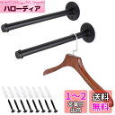 Sumnacon パイプ型 ウォールハンガー 壁掛けラック 衣類ハンガーラック 服掛けラック タオル掛け 壁 ネジ 焼付け塗装 錆びにくい アンティーク調 寝室...