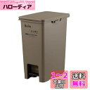 天馬(Tenma) Boite e-LABO ペダルペール 30L ブラウン