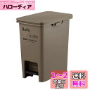天馬(Tenma) Boite e-LABO ペダルペール 20L ブラウン