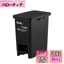 天馬(Tenma) Boite e-LABO ペダルペール 20L ブラック
