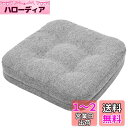 HAVARGO 座布団 クッション 低反発+高反発 二層構造 椅子クッション 竹炭入り 除湿消臭 お尻が痛くならないクッション 低反発クッション チェアクッション フロアクッション 馬蹄型 滑り止め (42X41X7, グレー)