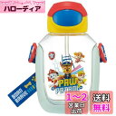 スケーター(Skater) 水筒 ストロー付き 530ml パウ・パトロール 23 ストロー水筒 ワンプッシュ 子供用 PDSH6DX-A(3)