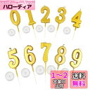 KALOLINNA バースデーナンバーキャンドル 0〜9 10点セット ロウソク 数字 誕生日を祝う 高級 ろうそく おしゃれ スタイリッシ 記念日キャンドルウ...