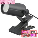 オーム(OHM) 電機 クリップライト 小型 ミニ 昼白色 LED一体型 300ルーメン USB電源 おしゃれ ベッドサイド 読書 デスクライト ブラック LT...