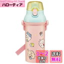 スケーター(Skater) 水筒 ちいかわ 480ml 子供用 抗菌 プラスチック製 子供に優しい 軽量 日本製 PSB5SANAG-A