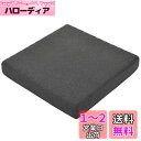 HAVARGO 座布団 クッション 大きめ 竹炭入り 除湿消臭 高反発クッション フロアクッション お尻が痛くならない ざぶとん 椅子クッション 幅50cm厚さ7.5cm (50X50, ダークグレー)