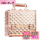 Hapilife メイクボックス 3段トレイ プロ仕様 化粧品収納 コスメ収納 ジュエリー ネイル用品 メイク道具 コスメボックス 鏡付き 化粧ボックス 化粧箱 収納ボックス 鍵付き 母の日のプレゼント (ローズゴールド)