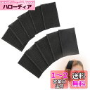 RICISUNG 前髪クリップ【10枚】前髪とめーる 前髪固定シート ヘアホルダー ヘアクリップ マジックテープ ヘアベルクロ固定フリンジ 洗顔 化粧用